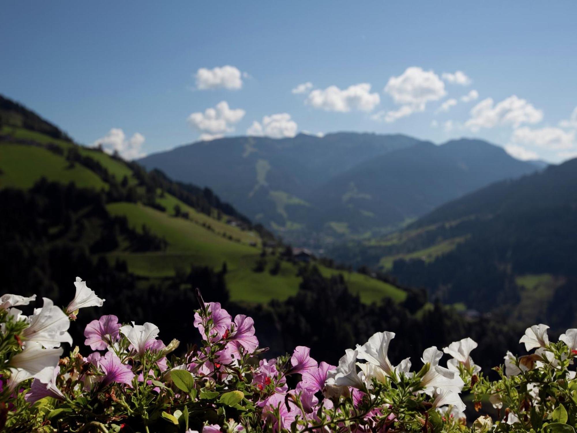 Apartment In Sankt Johann Im Pongau Near Ski Area واغراين المظهر الخارجي الصورة